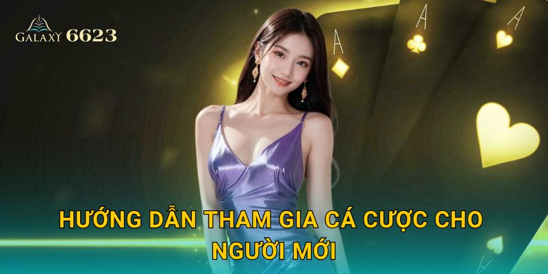 Hướng dẫn tham gia cá cược cho người mới